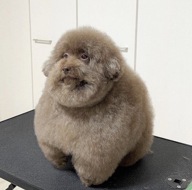 Максим
